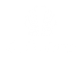 La Carioca Fashion